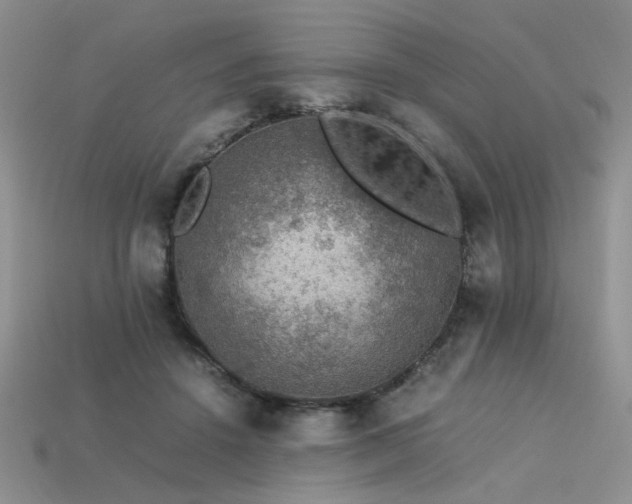 X0000113600456200909181355