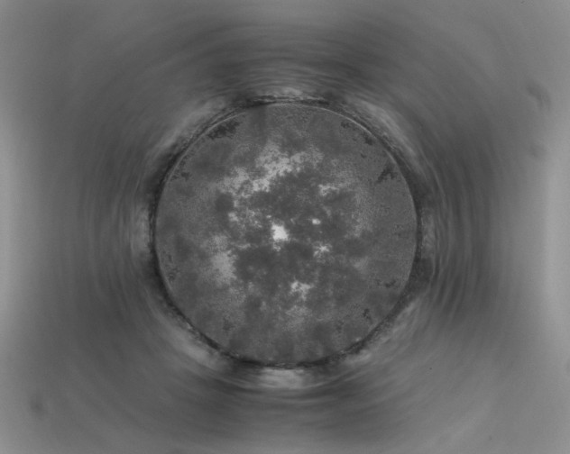 X0000113600457200909181355