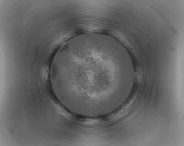 X0000113600458200909181355