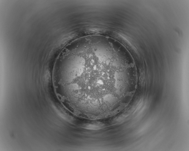 X0000113600459200909181355