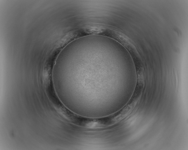 X0000113600460200909181355