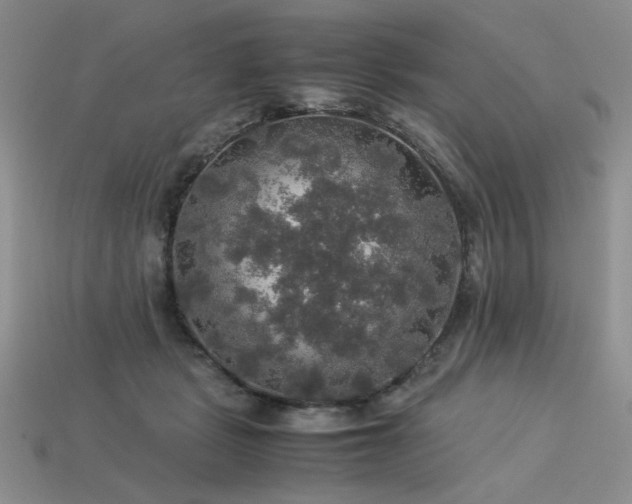 X0000113600461200909181355