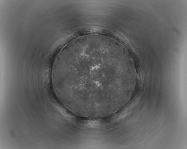 X0000113600462200909181355