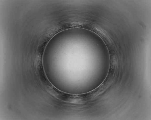 X0000113600463200909181355