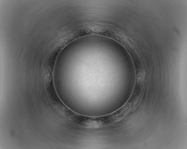 X0000113600464200909181355