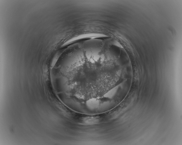 X0000113600465200909181355