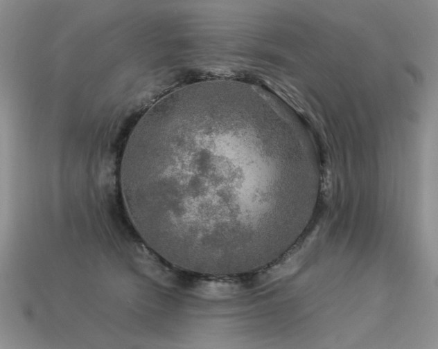 X0000113600466200909181355