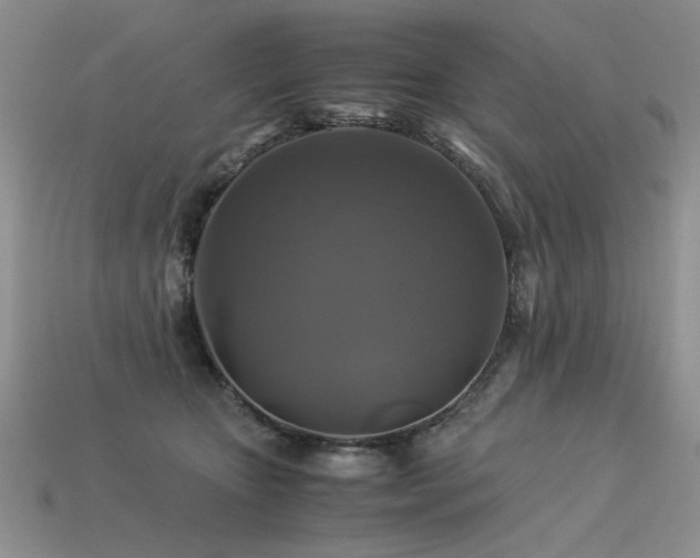 X0000113600467200909181355