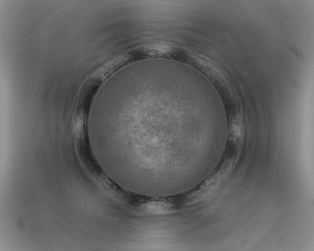 X0000113600468200909181355