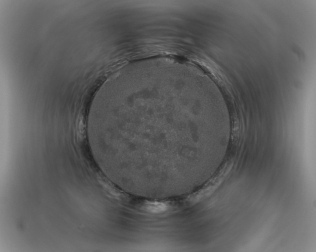 X0000113600469200909181355