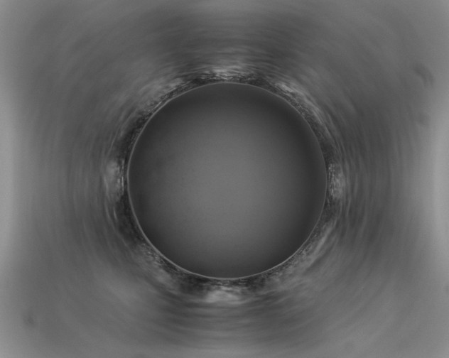 X0000113600471200909181355