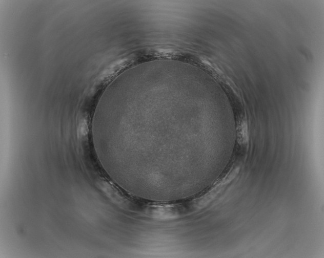 X0000113600472200909181355