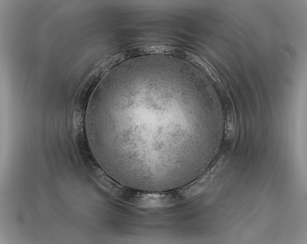 X0000113600473200909181355