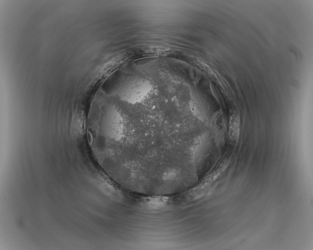 X0000113600474200909181355