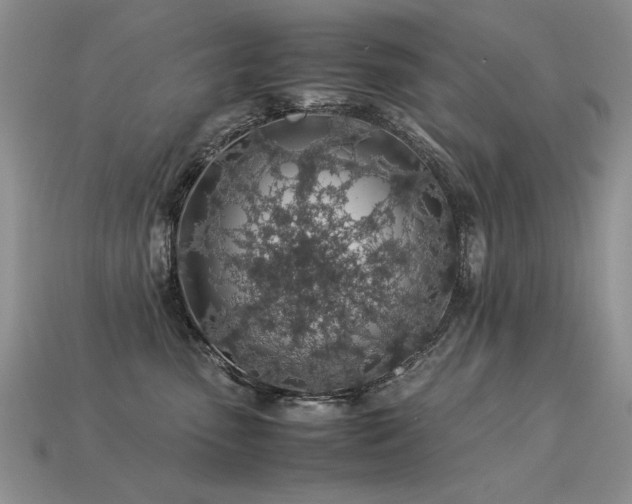 X0000113600475200909181355