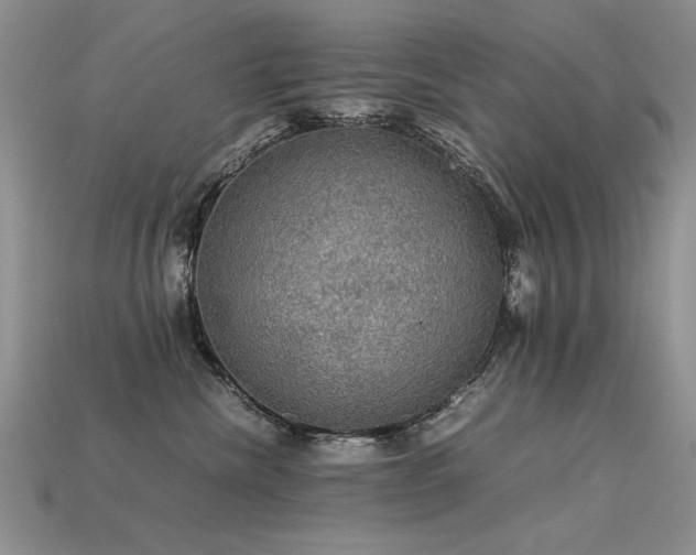 X0000113600476200909181355