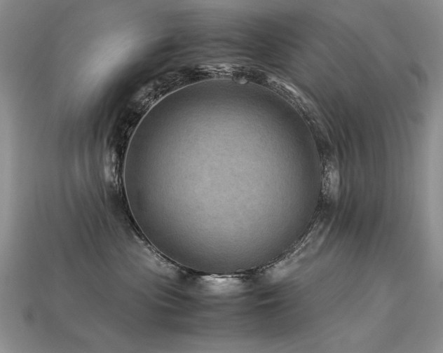 X0000113600477200909181355