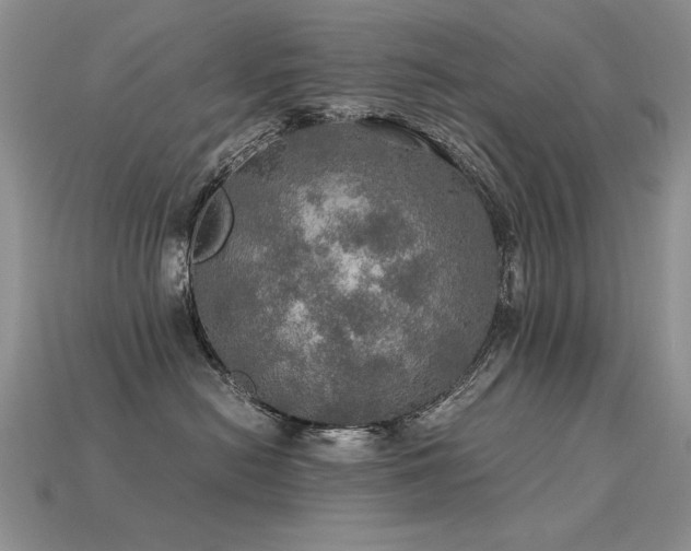 X0000113600478200909181355