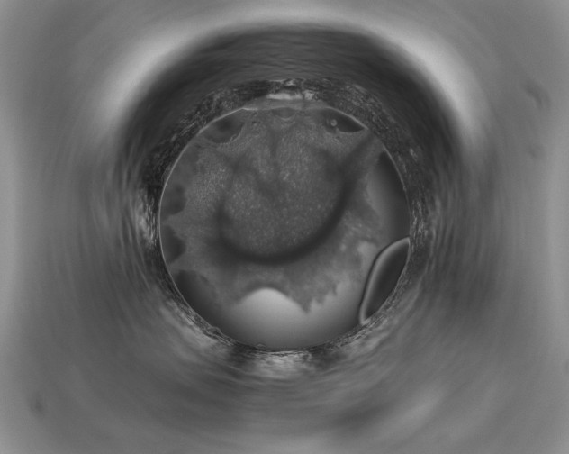 X0000113600479200909181355