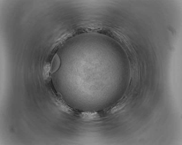 X0000113600480200909181355