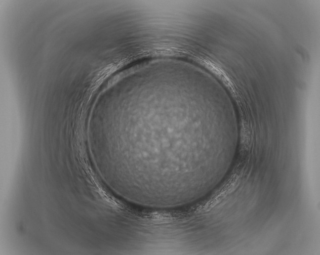 X0000113600481200909181355