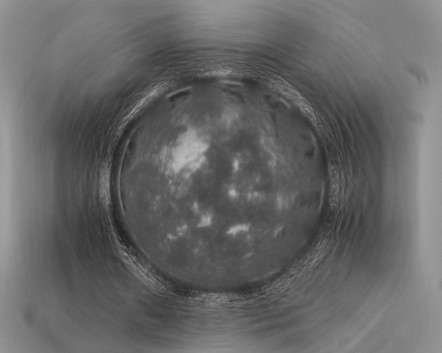 X0000113600482200909181355