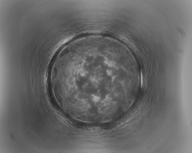 X0000113600483200909181355