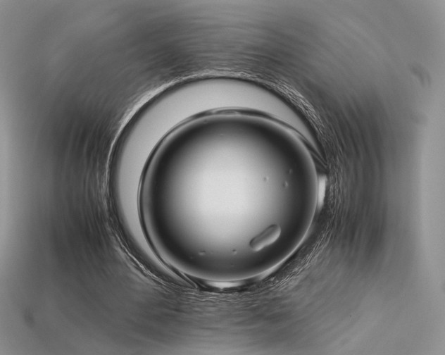 X0000113600484200909181355