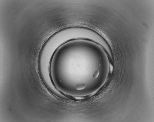 X0000113600485200909181355