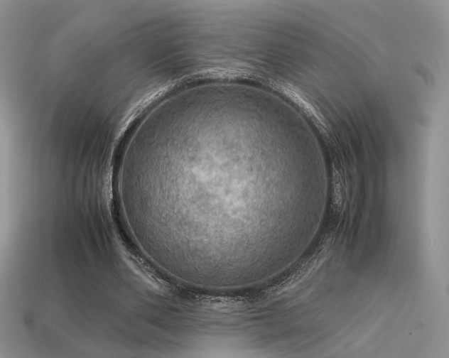 X0000113600486200909181355