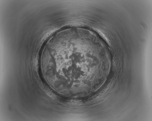 X0000113600487200909181355