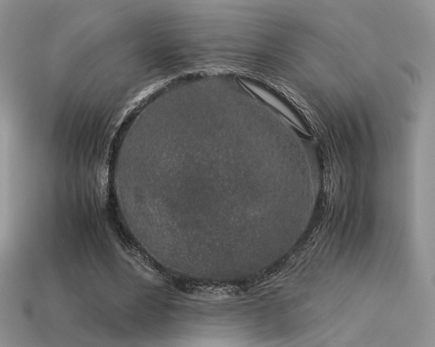 X0000113600488200909181355