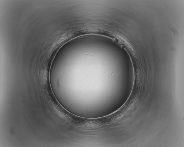 X0000113600489200909181355