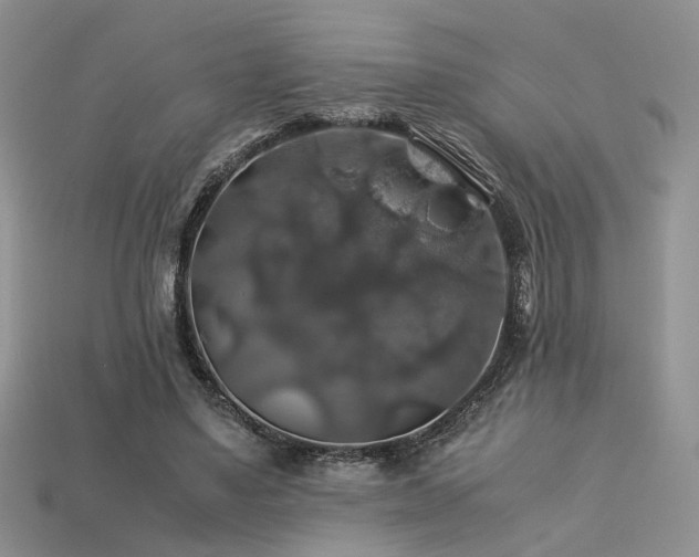 X0000113600491200909181355