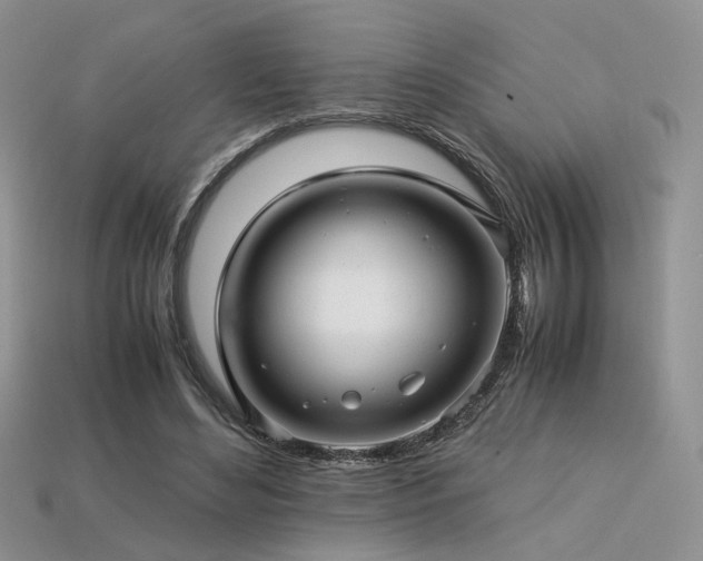 X0000113600492200909181355