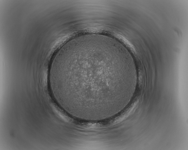 X0000113600493200909181355