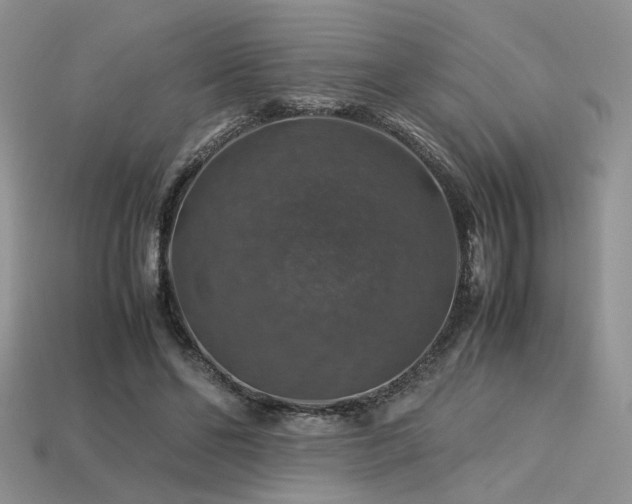 X0000113600494200909181355