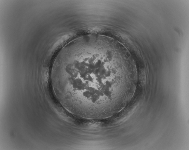 X0000113600495200909181355