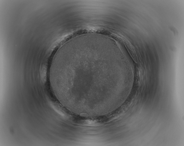 X0000113600496200909181355