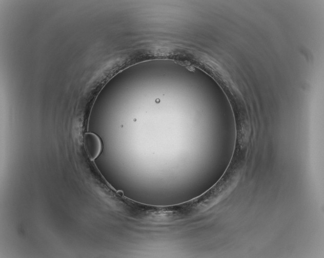 X0000113600497200909181355