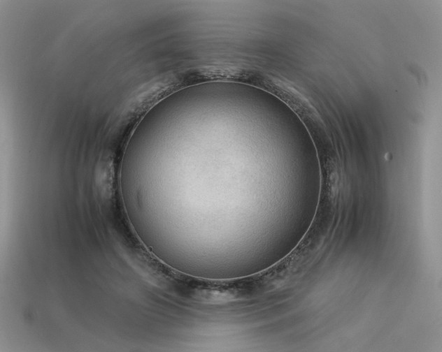 X0000113600498200909181355