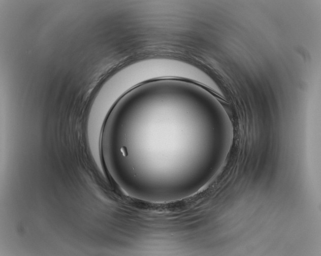 X0000113600500200909181355