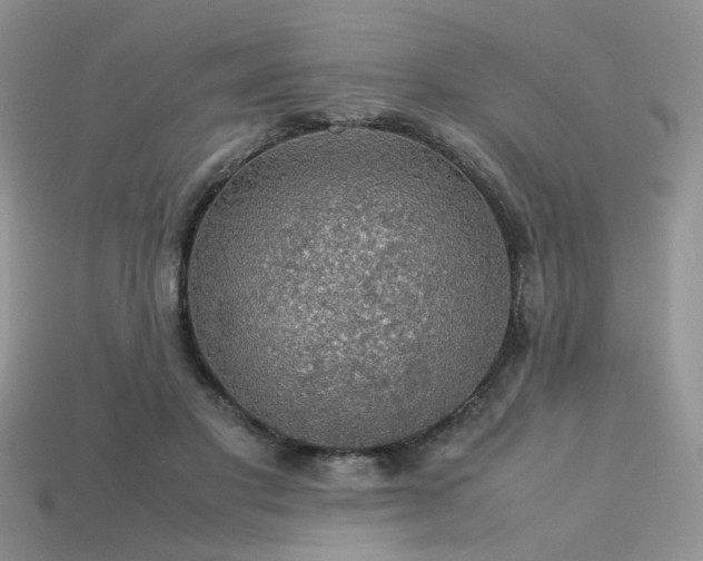 X0000113600501200909181354