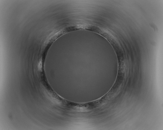 X0000113600502200909181354