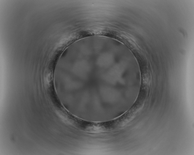 X0000113600503200909181354