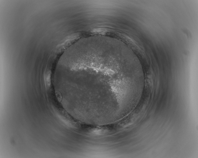 X0000113600504200909181354