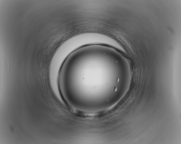 X0000113600505200909181354