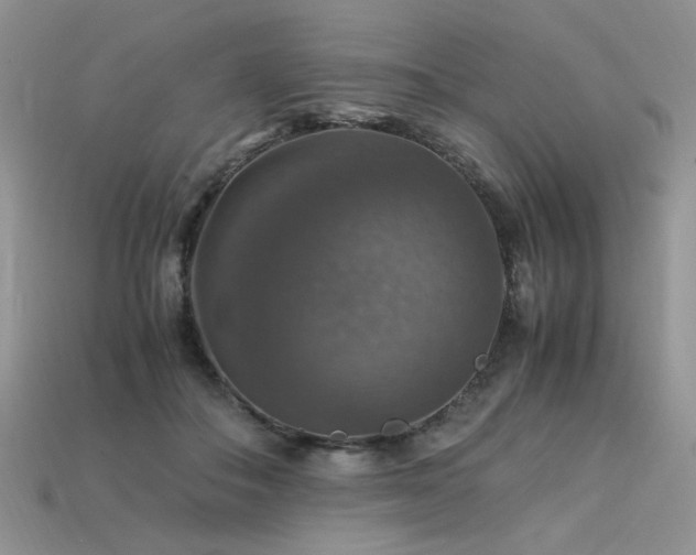 X0000113600506200909181354