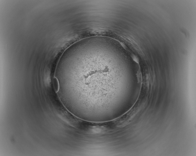 X0000113600508200909181354