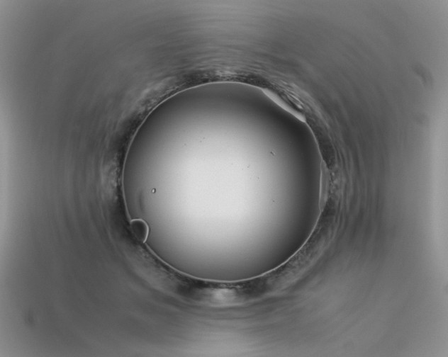 X0000113600509200909181354